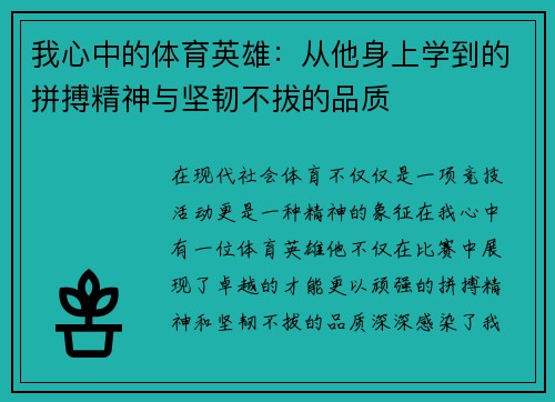 我心中的体育英雄：从他身上学到的拼搏精神与坚韧不拔的品质