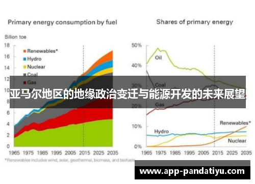 亚马尔地区的地缘政治变迁与能源开发的未来展望